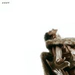 Iss Tarah_poster_image