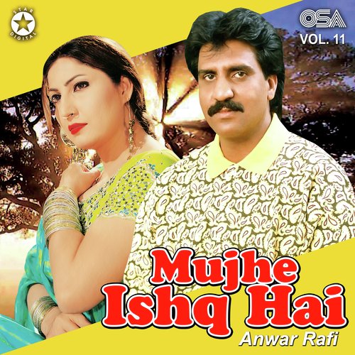 Mujhe Ishq Hai Tujhi Se Lyrics Mujhe Ishq Hai Vol 11 Only On JioSaavn