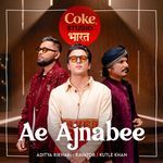 Ae Ajnabee | Coke Studio Bharat_poster_image