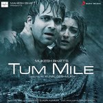 Download mp3 Tum Mile Dil Khile Lyrics In Hindi Font (7.55 MB) - Mp3 Free Download