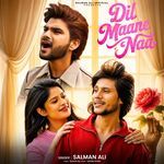 Dil Maane Naa_poster_image