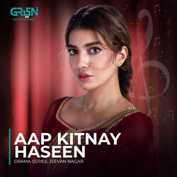 Aap Kitnay Haseen (Original Soundtrack From &quot;Jeevan Nagar&quot;)-OVAIVCJ1VGI