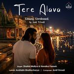 Tere Alava_poster_image