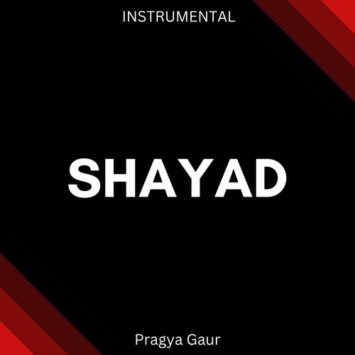 Shayad (Instrumental) - Cover - BeatsBajao