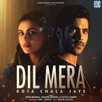 Dil Mera Rota Chala Jaye_poster_image