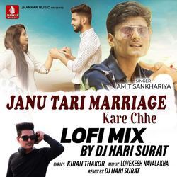 Janu Tari Marriage Kare Chhe Lofi Mix-RyMCfBJmTVA