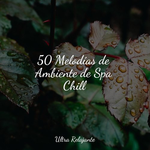 50 Melodías de Ambiente de Spa Chill