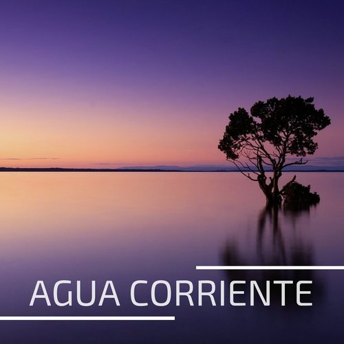 Cancion De Cuna Para Una Estrella cover art