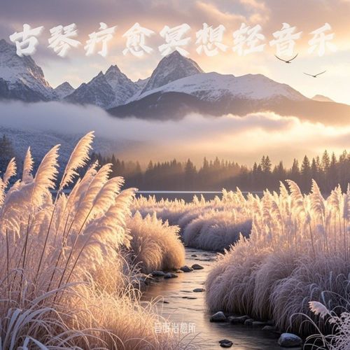 养生五音｜疗愈音律 cover art