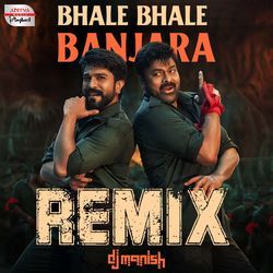 Bhale Bhale Banjara - Official Remix-JAEJSUV9XFg