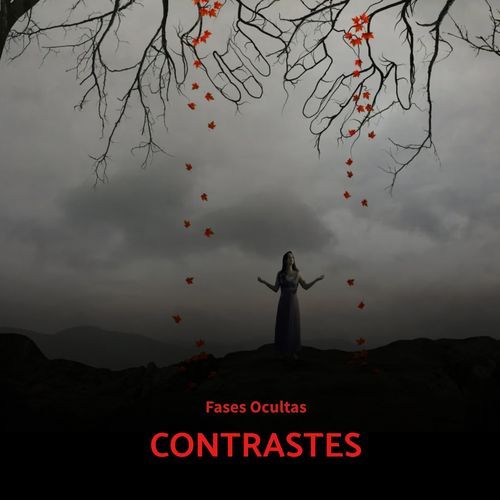 Muchos Nervios cover art