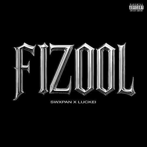 Fizool