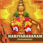 Harivarasanam - Instrumental