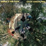 Something Wong - Live at Cubbon Park artwork