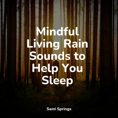 Mindful Living Rain Sounds to Help You Sleep