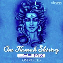 Om Namah Shivay - LoFi Mix-OCklZDh8UAU