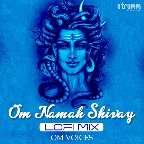 Om Namah Shivay - LoFi Mix