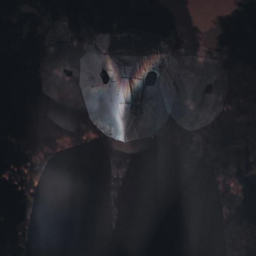 Monty cover art