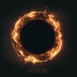 The Blackness Thrown Away