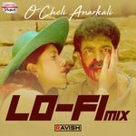O Cheli Anarkali - Lofi Mix