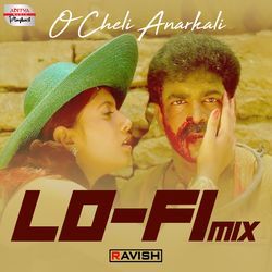 O Cheli Anarkali - Lofi Mix-IUUBaydgVAQ