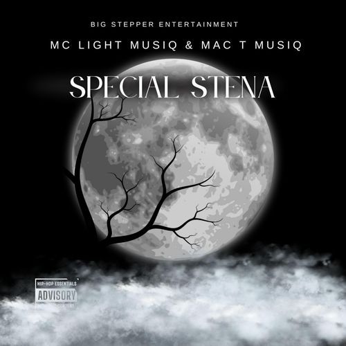 As'dlali (feat. Mega Pro, Jayy Que, Ma Ten MusiQ, Sylvano xiv & TheBrownBears)