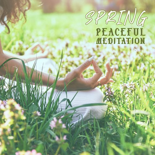 Spring Peaceful Meditation: Tranquil Vibrations, Body Rituals, Your Time_poster_image