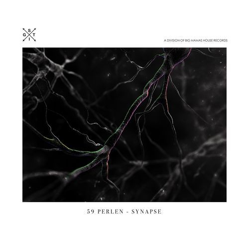 Synapse (Edit)