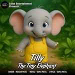 Tilly The Tiny Elephant