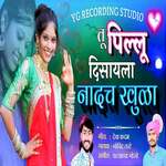 Tu Pillu Disaya Nadach Khula