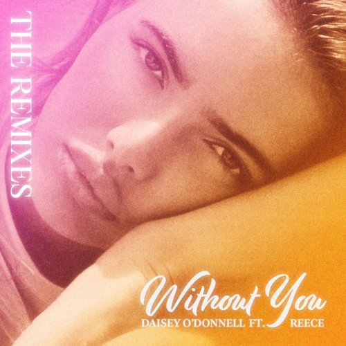 Without You (The Remixes)_poster_image