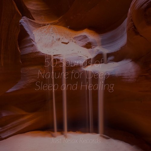 50 Sounds of Nature for Deep Sleep and Healing