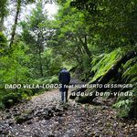 adeus bem-vinda