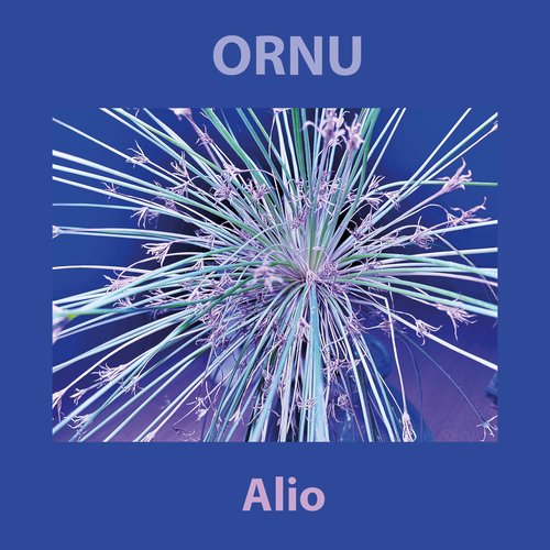 Alioto cover art