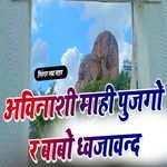 Avinashi Mahi Pujgo R Babo Dhawjavand artwork