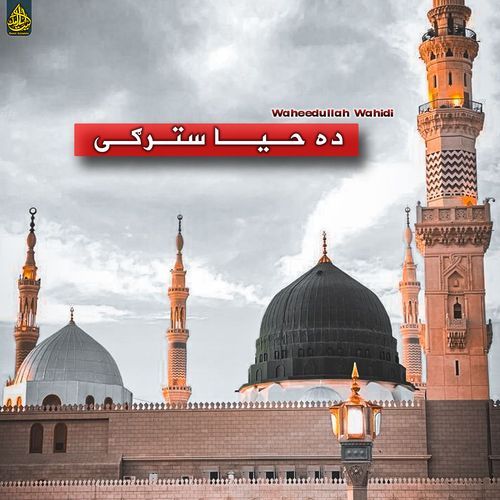 ده حیا سترګی