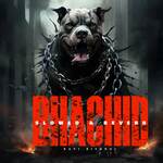 Bhachid (Slowed  &amp; Reverb)