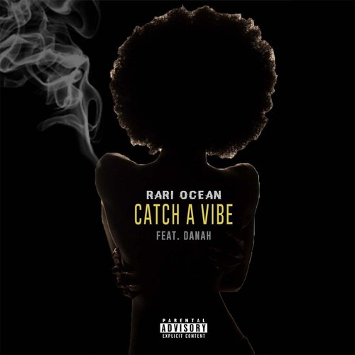 Catch a Vibe (feat. Danah)