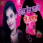 Chhod Ke Jane Se Pahle