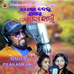 Dhoka Delu Hae Re Dhokabali