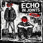 ECHO IN JOINTS