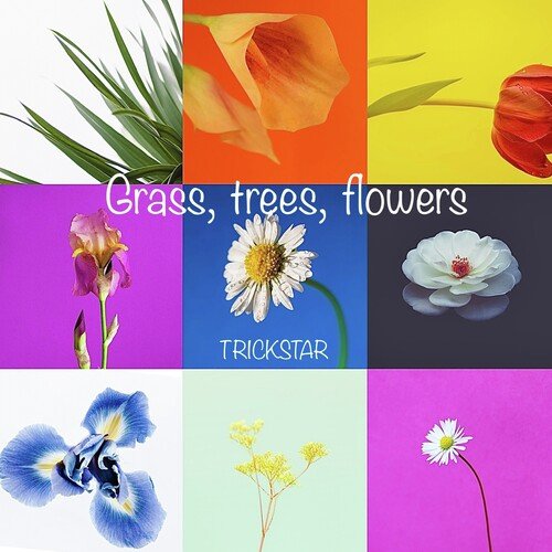 Grass, trees, flowers