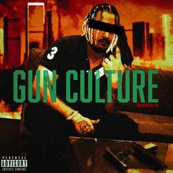 Gun Culture