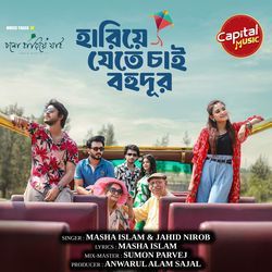 Hariye Jete Chai Bohudur