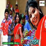Holi Men Dewara Baurail
