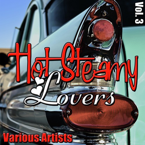 Hot Steamy Lovers, Vol. 3