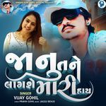 Janu Tane Lagashe Mari Hay