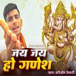 Jay Jay Ho Ganesh