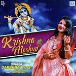 Krishna Mashup