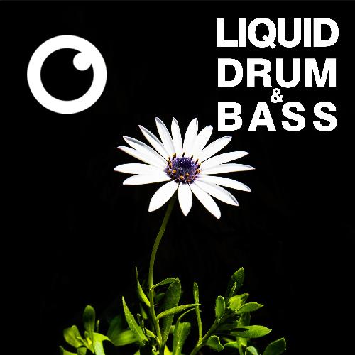 Liquid Drum & Bass Sessions 2020 Vol 35